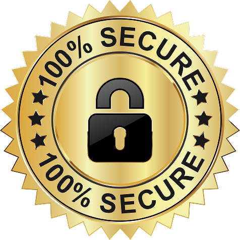 100% Secure Payment